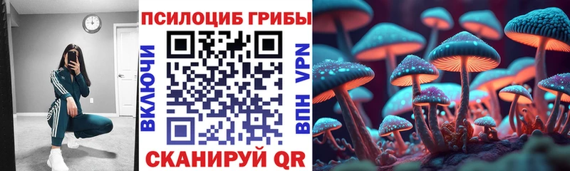 ссылка на мегу ТОР  Иннополис  Галлюциногенные грибы Magic Shrooms 